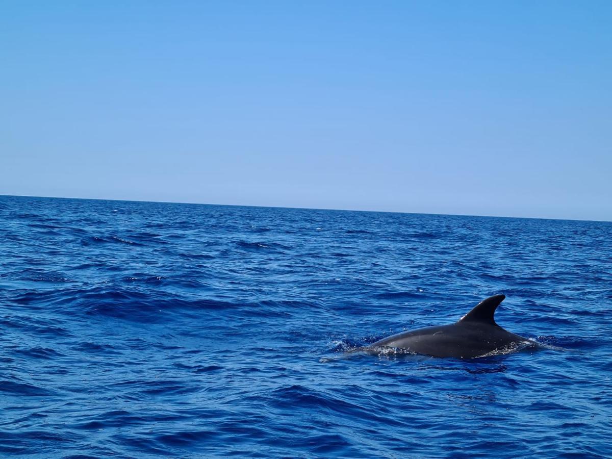 Sole Mare Sale Bed & Breakfast Torre Nubia Ngoại thất bức ảnh